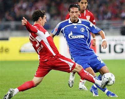 都看到了各 都看到了各